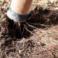 Die schonende Entfernung der Erde sorgt für den vollständigen Erhalt der Baumwurzeln bei Baumaßnahmen. Die schonende Entfernung der Erde sorgt für den vollständigen Erhalt der Baumwurzeln bei Baumaßnahmen.